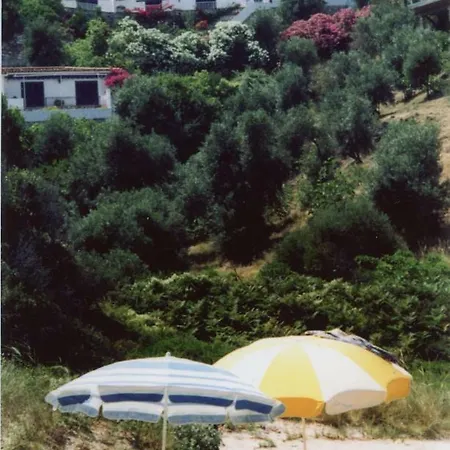 Irene Skiathos *